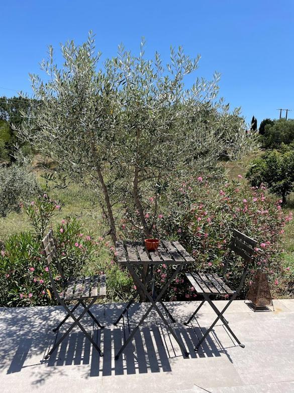 Monte Teu Villa Sao Luis Luaran gambar
